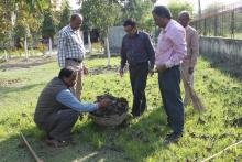  Observed 'Swachh Bharat Mission-Swachhta Pakhwada at CFMS, Patna from 24 to 31 March, 2017